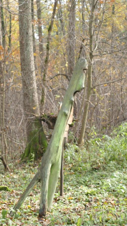 Warminskie Mieszkanko Biskupiec  Buitenkant foto